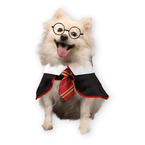 Coomour Wizard Dog Costume
