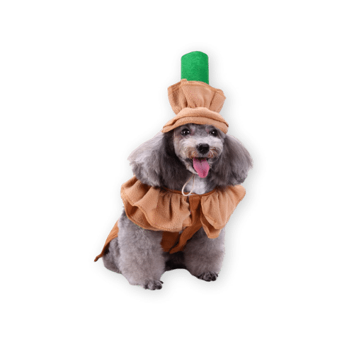 Coppthinktu Latte Dog Costume