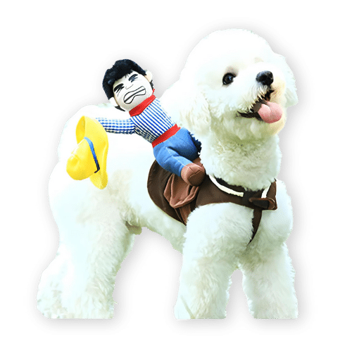 DELIFUR Funny Cowboy Riding Dog Costume