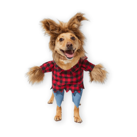 FRISCO Front Walking Werewolf Dog Costume