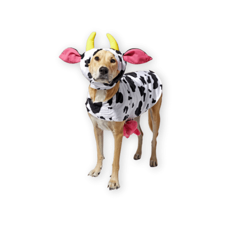 FRISCO Happy Cow Dog Costume