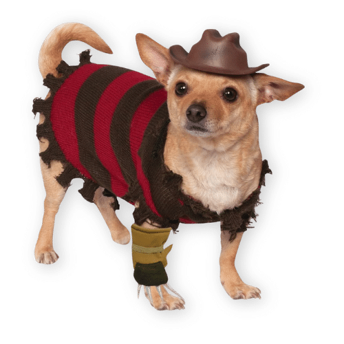 Freddy Krueger Pet Costume