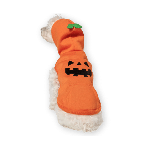 Frisco Jack O Lantern Pumpkin Dog Hoodie