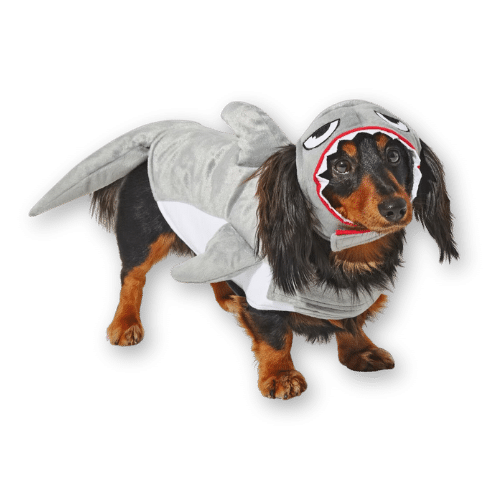 Frisco Shark Attack Dog Costume