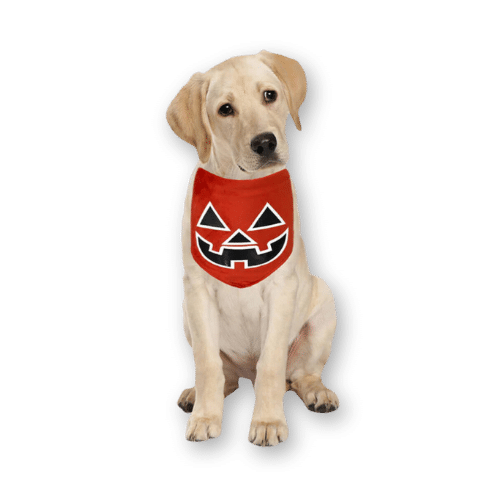 Funny Fuzzy Luminous Halloween Pet Bandana