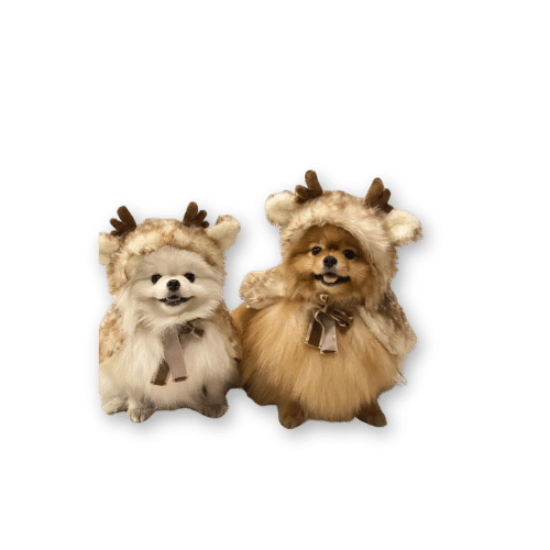 Funny Fuzzy Plush Elk Cape