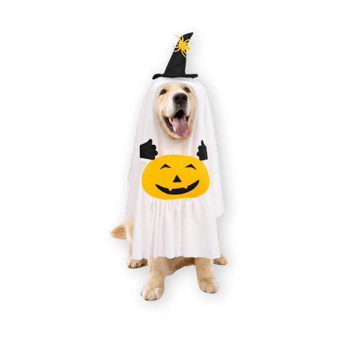Funny Fuzzy Pumpkin Ghost Halloween Costume