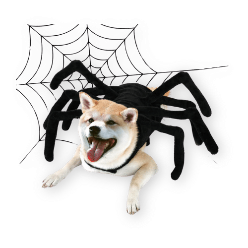 Funny Fuzzy Spider Dog Costume