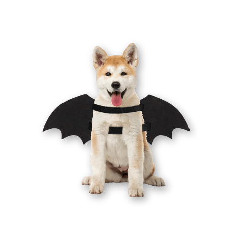 ITESSY Luminous Skeleton Bone Bat Wings