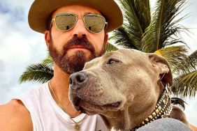 Justin Theroux Pit Bull