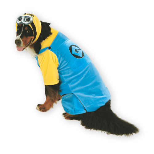 Rubies Minion Dog Costume