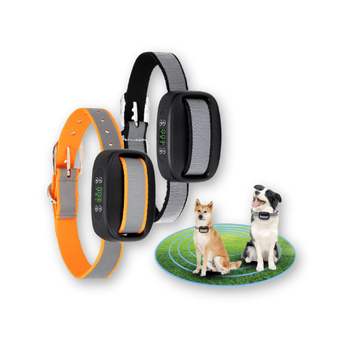 Best Dry Wireless Dog Fence for Dogs