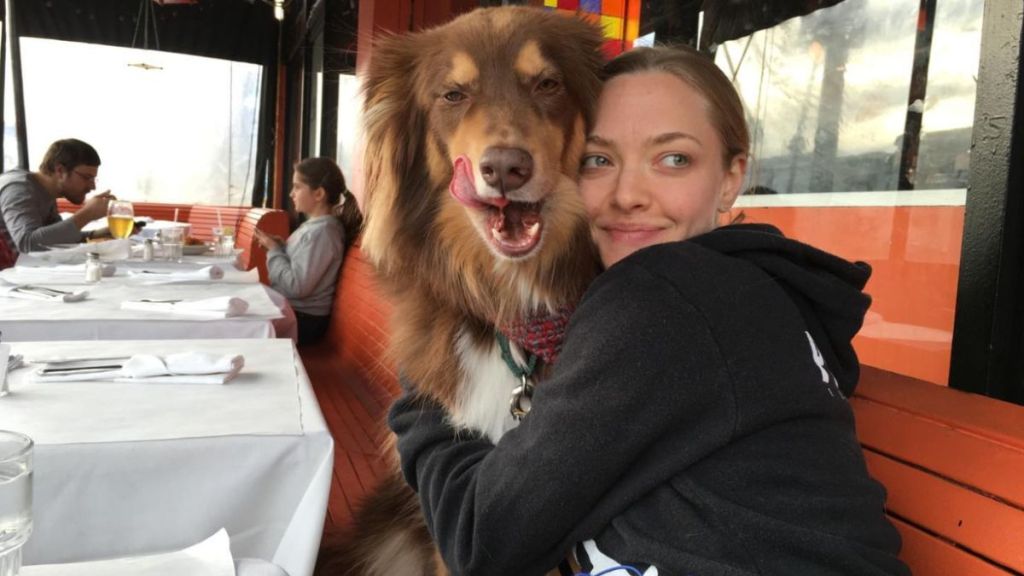 Amanda Seyfried with her rescue dog Finn.