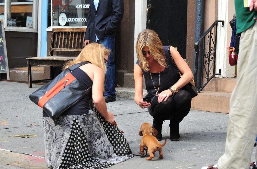 Jennifer Aniston tomando una foto de un perrito en Nueva York.