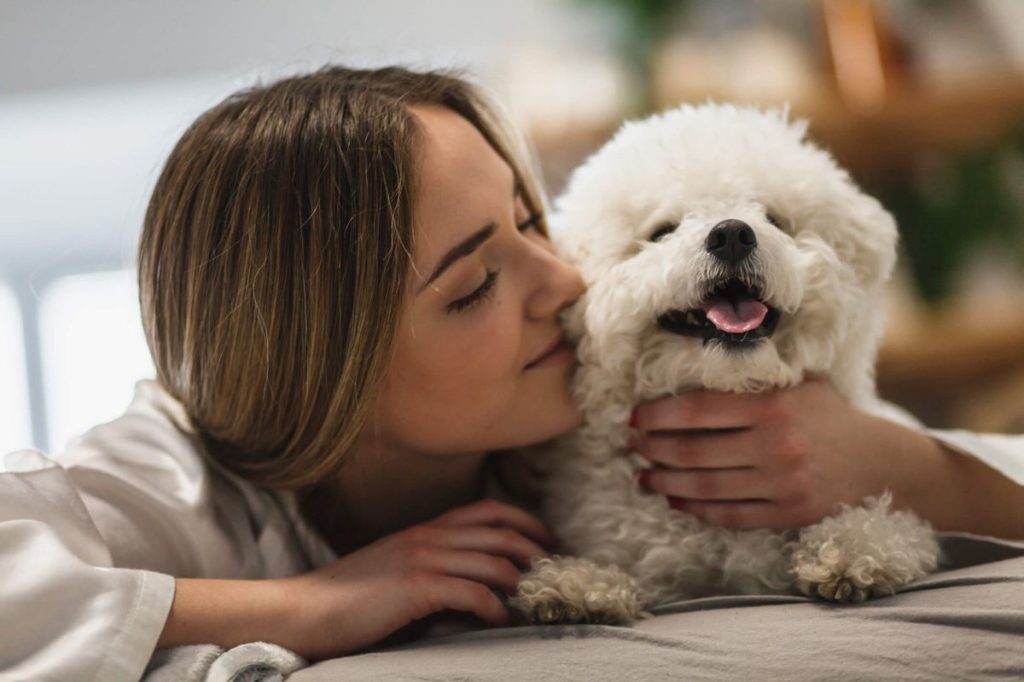 Young girl cuddling with her affectionate Bichon Frise dog in the bed.