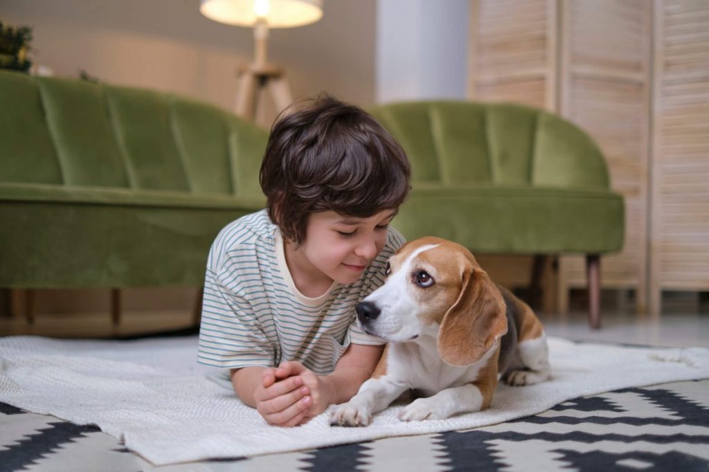 Young boy and friendly small dog — Beagle — enjoying playful time together in the living room.