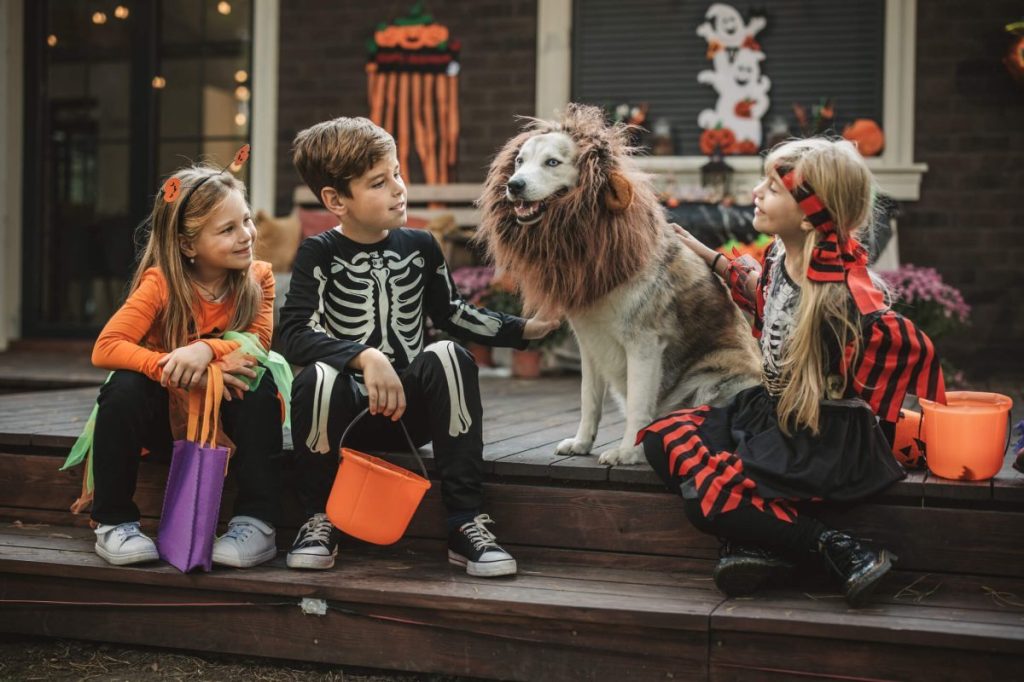 Trick-or-treating children sitting on the porch with costumed pup.