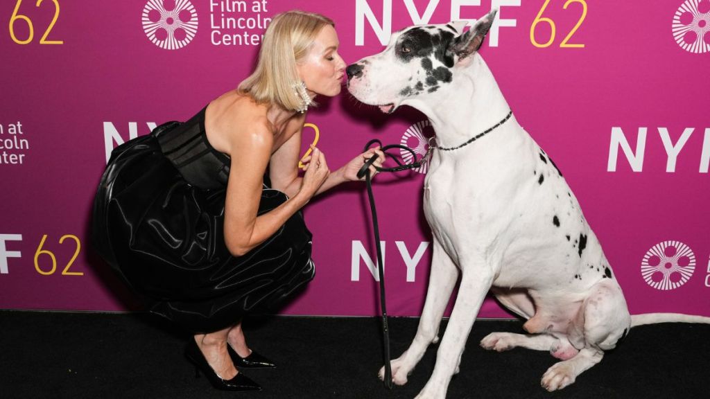 Naomi Watts at the premiere of "The Friend" at the 62nd New York Film Festival held at Alice Tully Hall on October 3, 2024 in New York City.