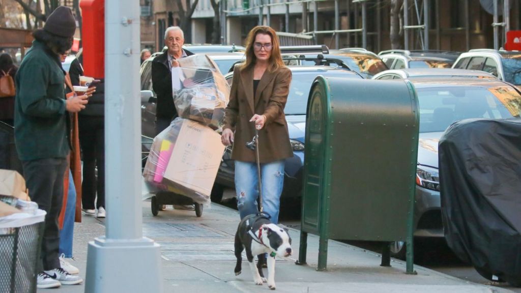 Brooke Shields is seen on December 16, 2023 in New York City.