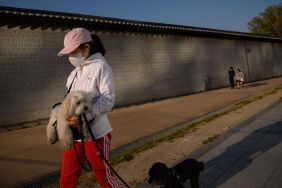 In a photo taken on April 13, 2020 a woman wearing a face mask amid concerns over the COVID-19 novel coronavirus carries a dog as she walks alongside a wall of Gyeongbokgung palace in Seoul.