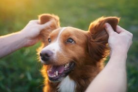 Man playing with new dog who has a unique name.