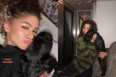 Zendaya with her dog