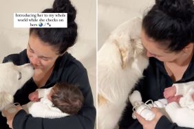dog baby video