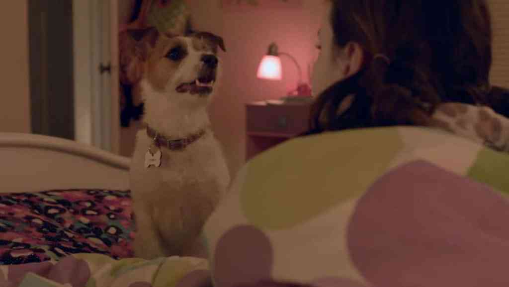 Toby the dog, from “Up on the Wooftop” Christmas movie.