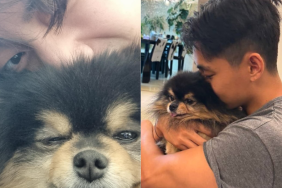BTS V and his beloved dog Yeontan