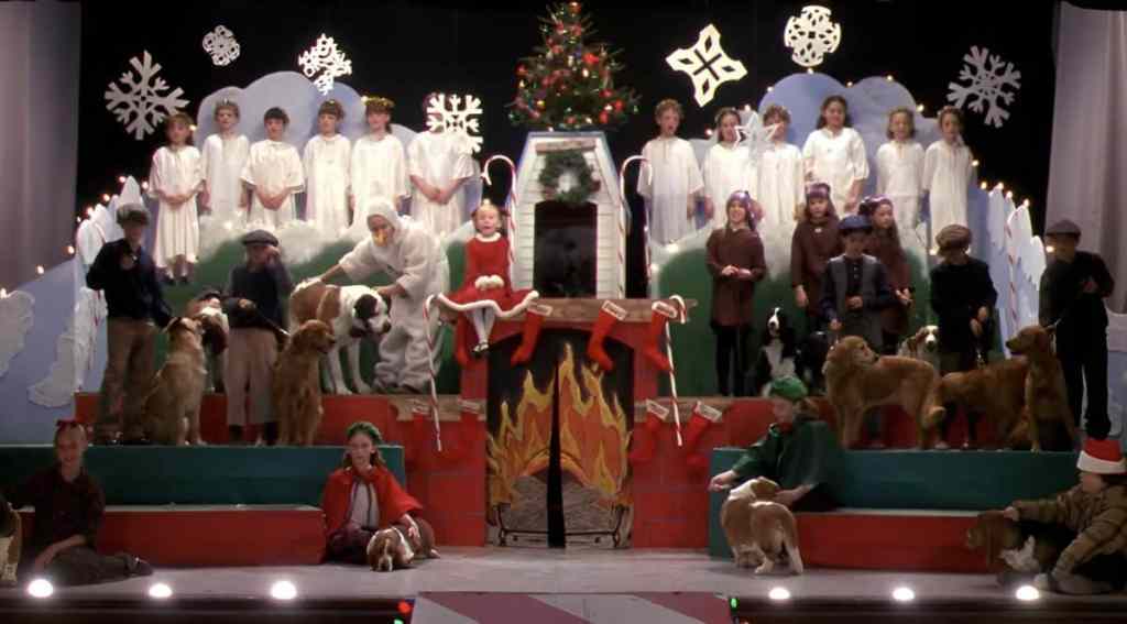 “The 12 Dogs of Christmas.”