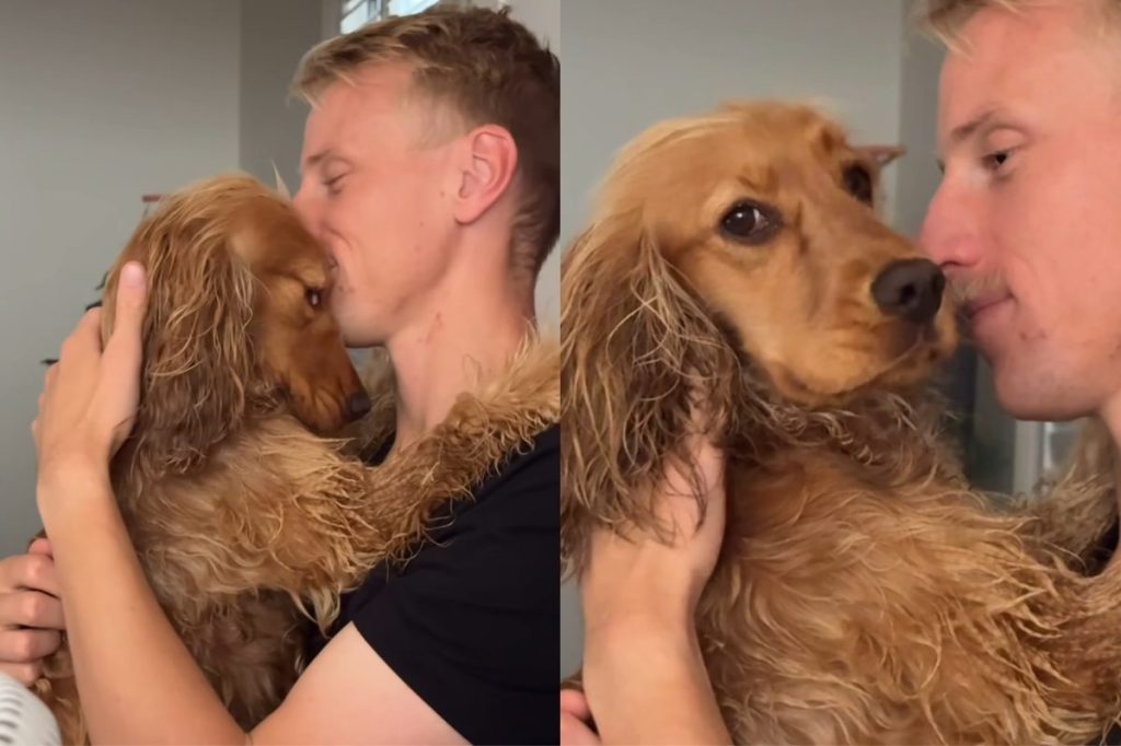 Dog giving side eye to owner in Instagram video.