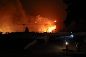 A wind-driven fire burns in Altadena, California where the firefighter rescued the scared dog.