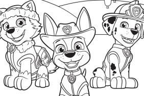 Best PAW Patrol Coloring Pages Books 2025 Crayola Nick Jr.