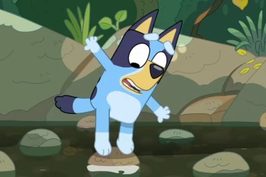 Is Bluey Boy or Girl Male Female Gender