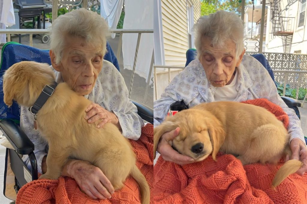 Video of dog with grandma