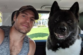 Henry Cavill Dog Kal Kal-El Breed Age How Old