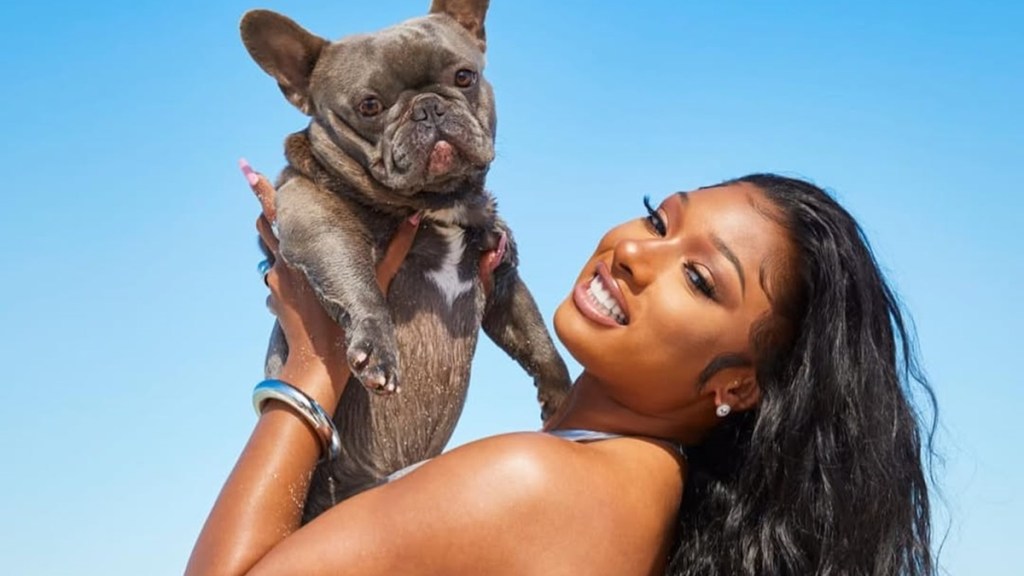 Megan Thee Stallion Dog 4oe Age Breed Foe