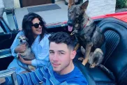 Nick Jonas Dogs Breeds Ages Gino Diana Panda How Old Breed