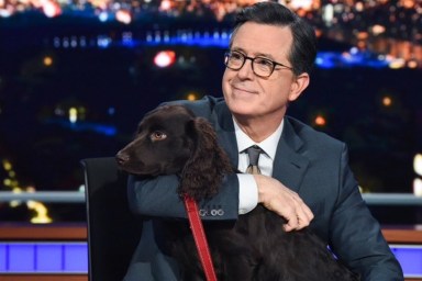 Stephen Colbert Dog Benny Breed Age How Old