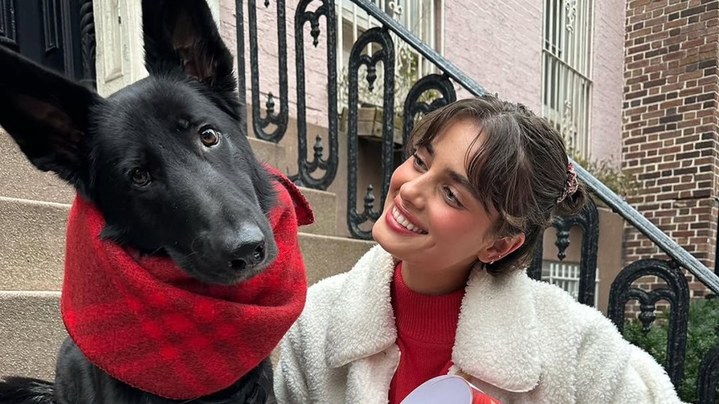 Taylor Hill Dog Salem Breed Age How Old Name