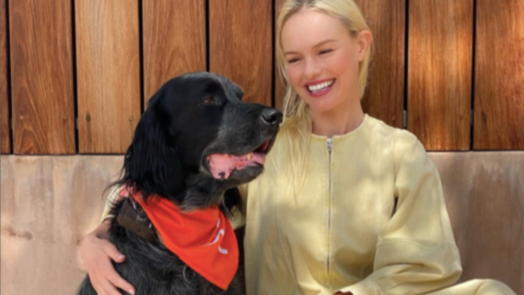 Kate Bosworth's dog Happy