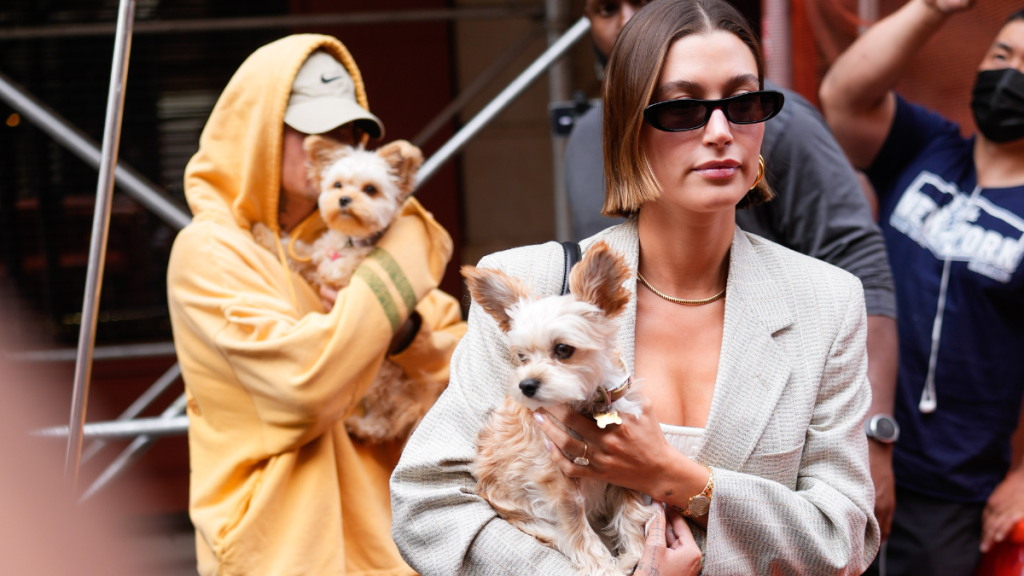 Justin Bieber and Hailey Bieber with their dogs Oscar and Piggy Lou