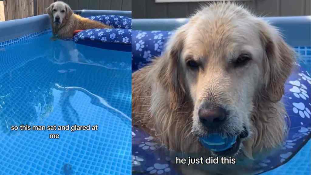 Video: Dog Makes Owner Do All the Work During Relaxing Pool Time