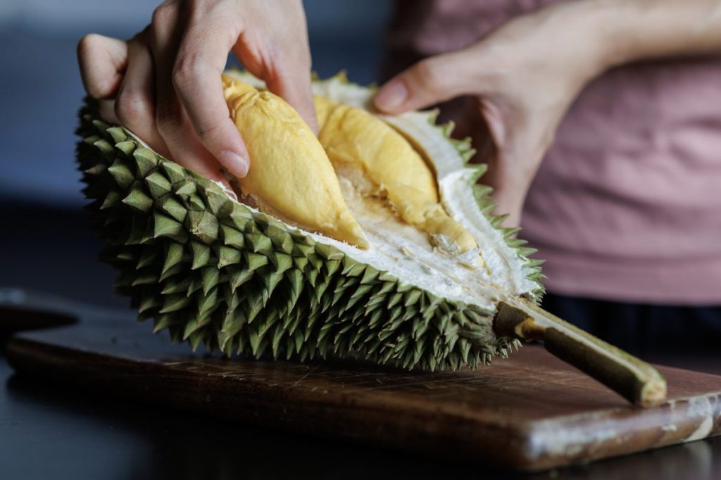 A person is carefully opening a fresh durian fruit to reveal its soft, yellow flesh inside. The spiky green shell is partially peeled back, exposing the creamy, custard-like segments of the fruit.