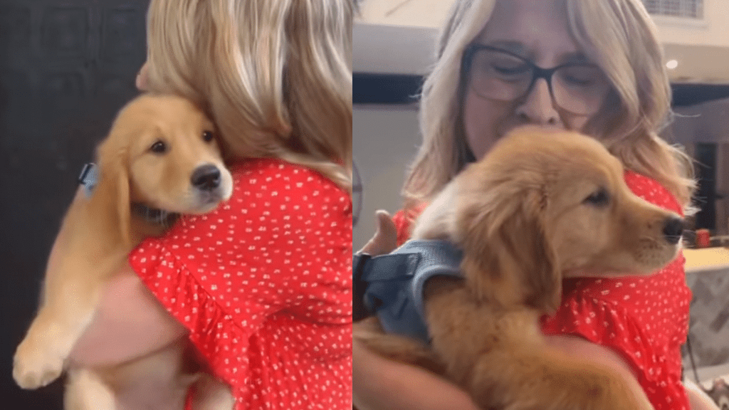 puppy meets grandma video