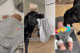 dog baby siblings blanket video