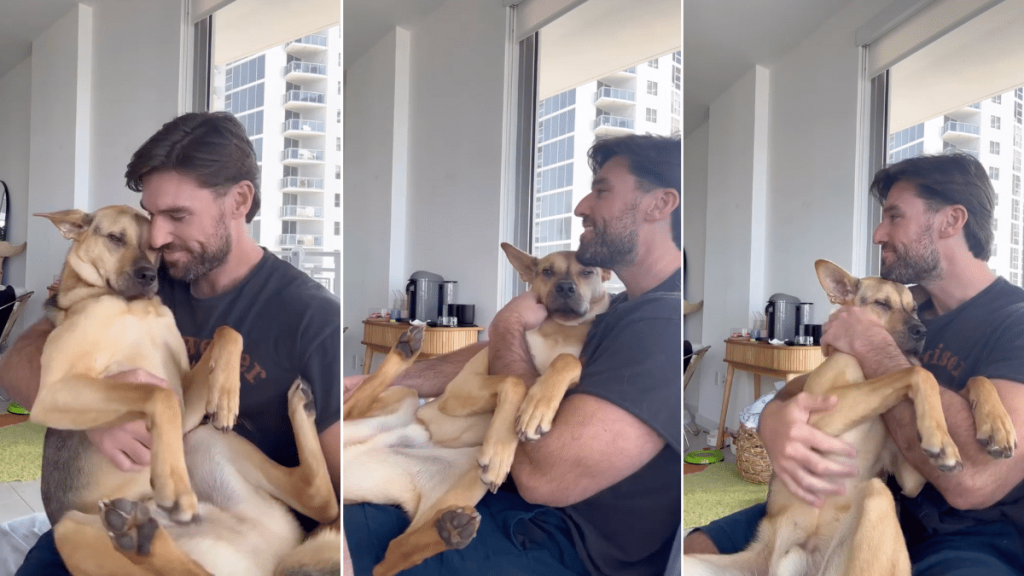 rescue dog baby video