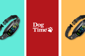 FAFAFROG Dog Bark Collar