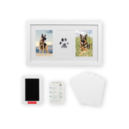 Green Pollywog Paw Print & Nose Print Kit