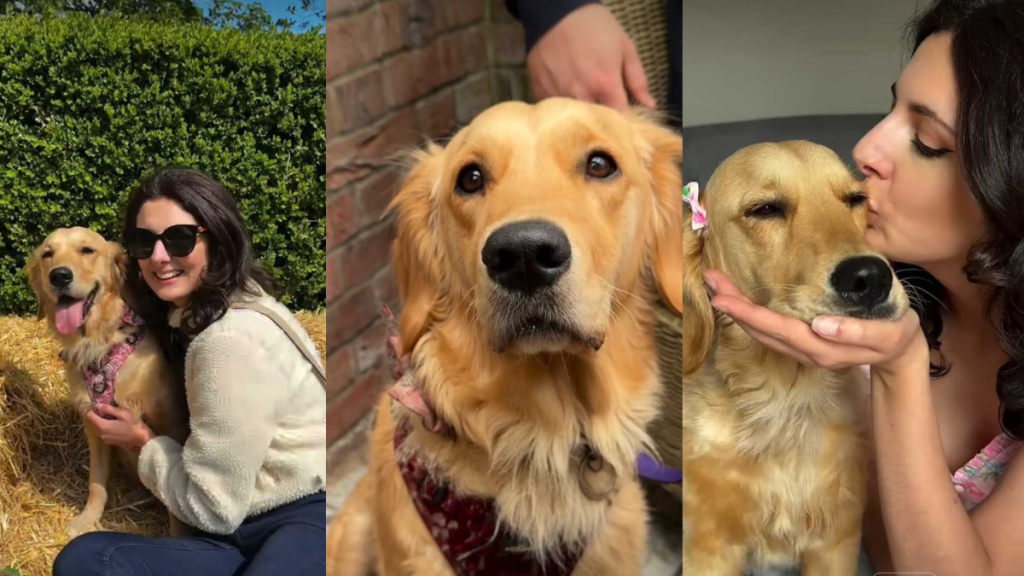 Becoming a Dog Mom